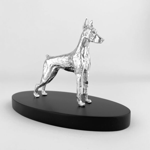 Cães | Dobermann - Image 2