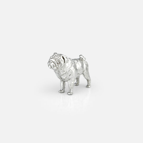 Cães | Pug