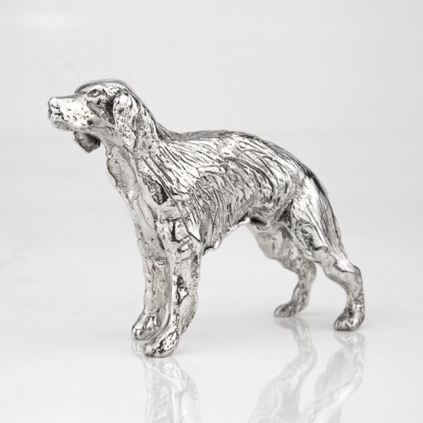 Cães de Caça | Setter Irlandês - Image 3