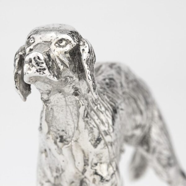 Cães de Caça | Setter Irlandês - Image 6