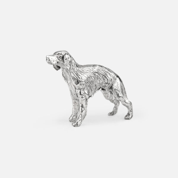 Cães de Caça | Setter Irlandês